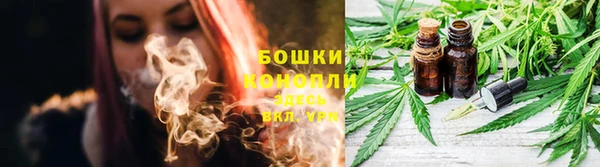 крисы Сосновый Бор