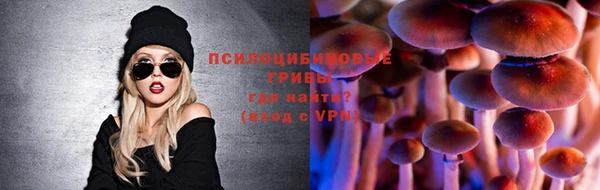 спайс Костерёво