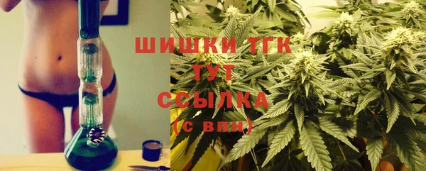 ГАЛЛЮЦИНОГЕННЫЕ ГРИБЫ Лихославль