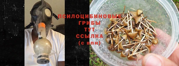 ГАЛЛЮЦИНОГЕННЫЕ ГРИБЫ Лихославль
