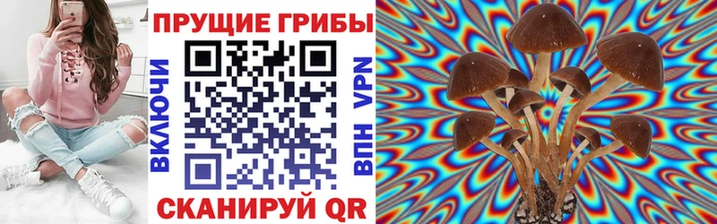 Галлюциногенные грибы Cubensis  Мглин 