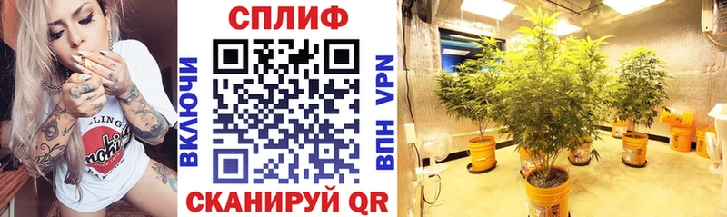 mega как зайти  Мглин  Бошки марихуана LSD WEED 